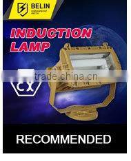 Well glass explosion proof light induction lamp SBD1109