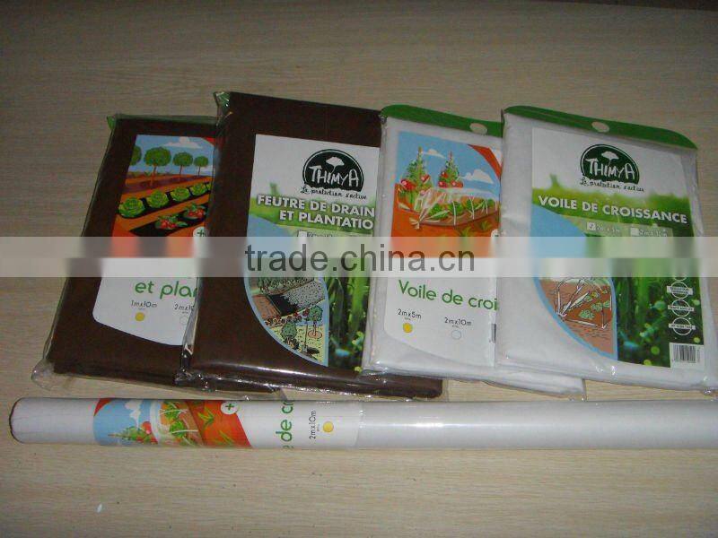 Foreign customer visit our factory for pp nonwoven fabric