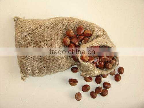 New Chinese Simmondsia chinensis