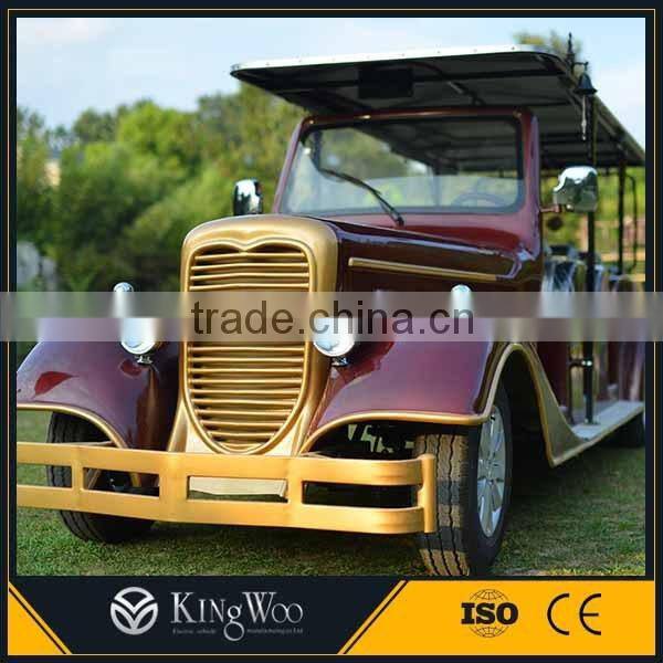 8 Seats electric recreational vehicle for sale