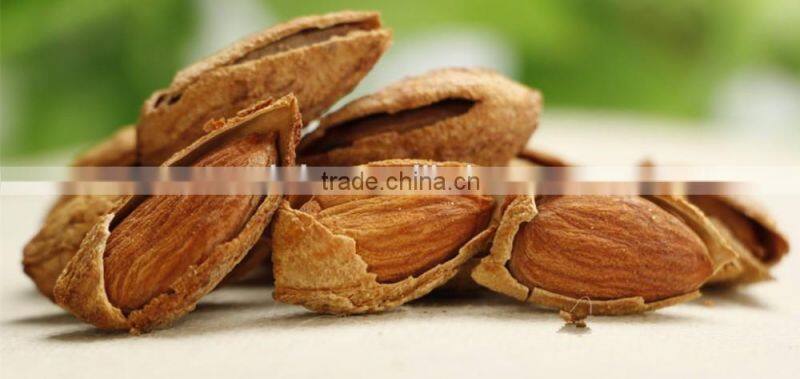 full automatic Pine Nut Shell Opening Machine,automatic nut cracker machine
