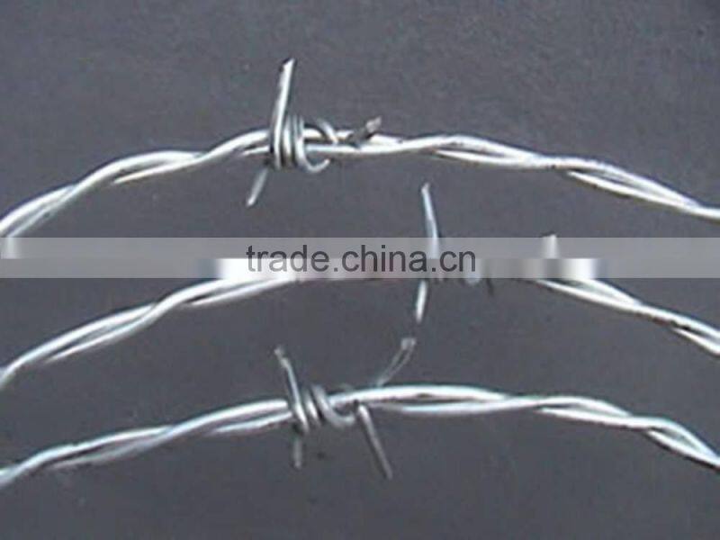 Guangzhou factory galvanized barbed wire price/single barbed wire roll price