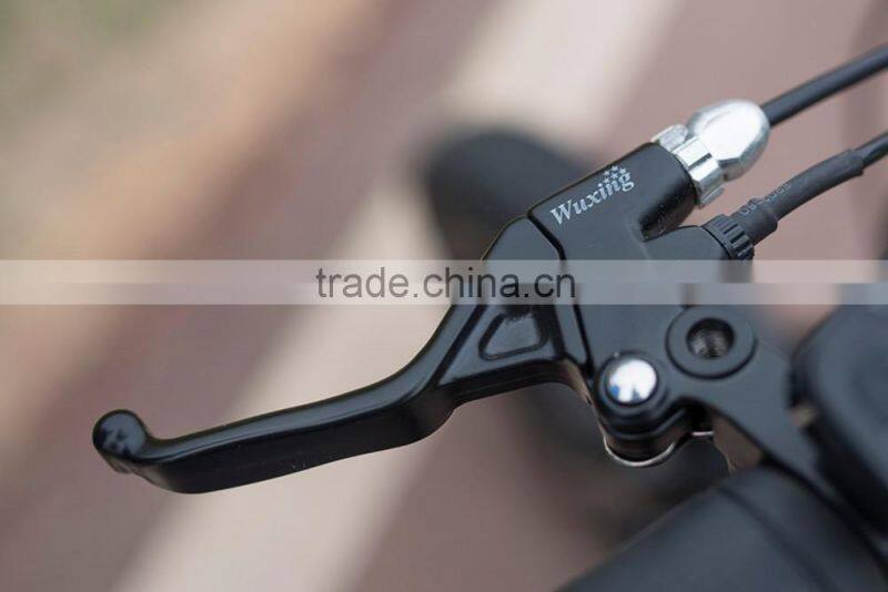 48V DC gear hub motor electric bicycle folding small 20*4.0