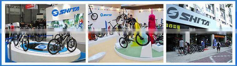 14" plegable bicicleta electrica