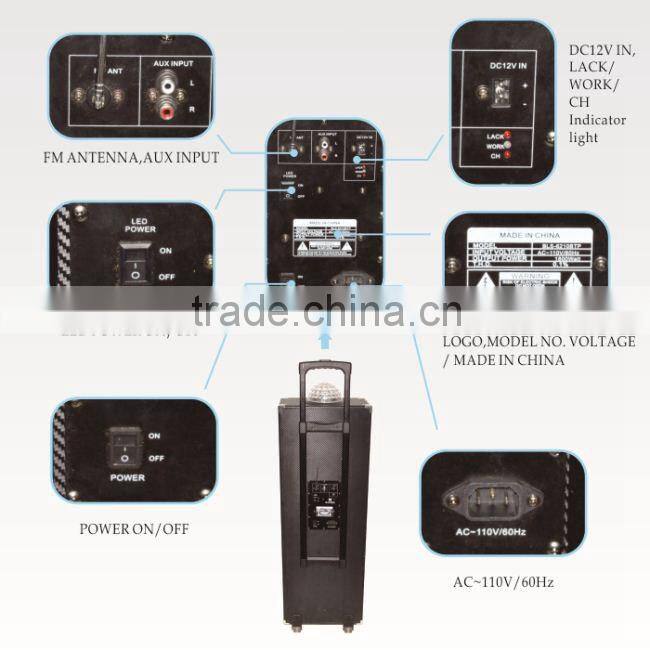 New Bluetooth Trolly/Portable Speaker with 10inch subwoofer