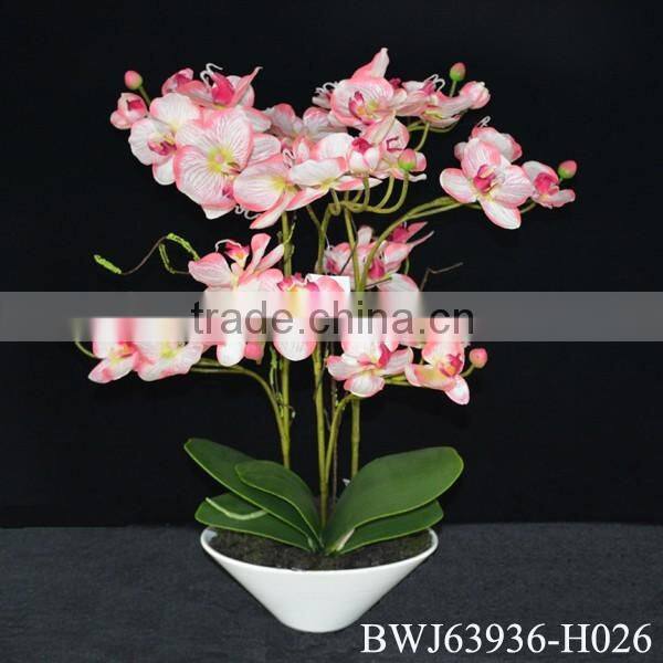 Artificial coated Phalaenopsis Orchids bonsai