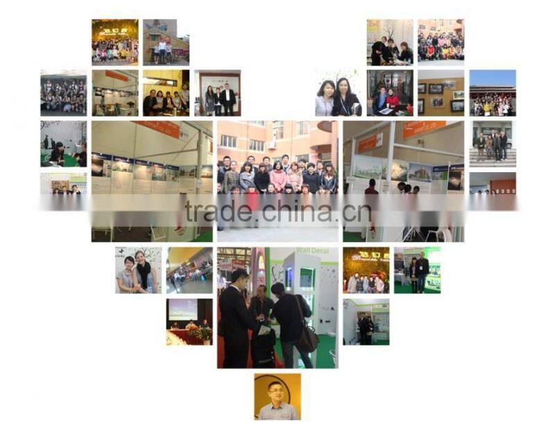 self-adhesive protection film for car