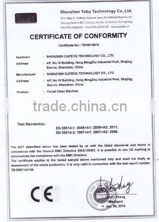 2015 newest Handheld Face Massager Beauty brush