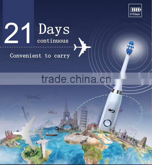 dental oral care sonic toothbrush