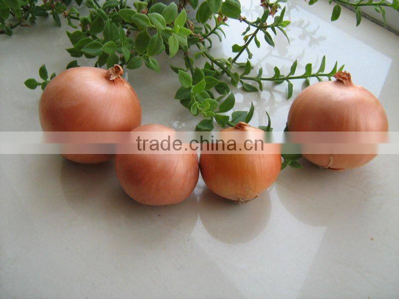 2011 Fresh Onions price