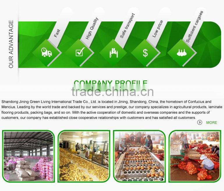 Popular Equipment Fresh Big Onion