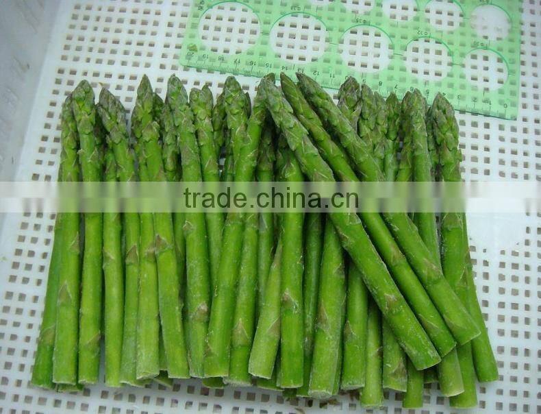 wholesale IQF green asparagus