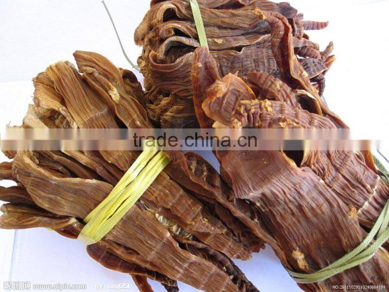 fresh dry bamboo shoot