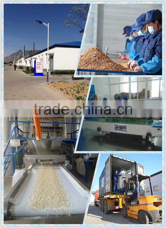 Best Price Apricot Seed Milk Powder / Manufacturer China Almond Powder Bulk sale