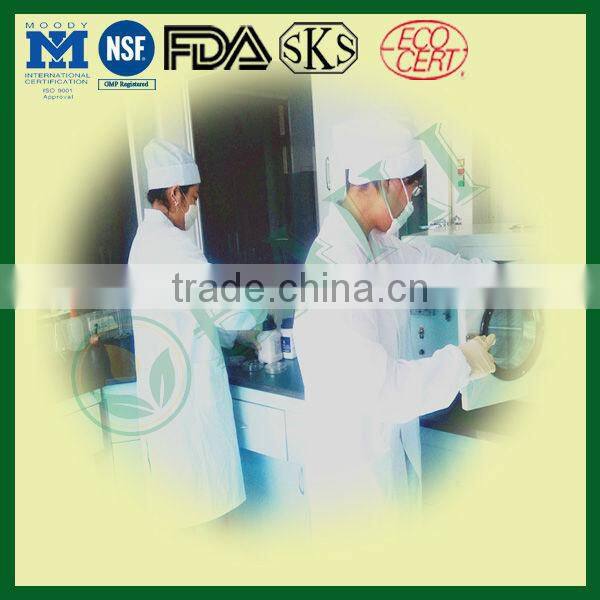 Softgel Capsule Evening Primrose Oil of Baili Company from China