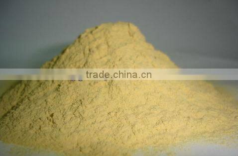 China Poultry Feed Corn Gluten Feed Meal Price