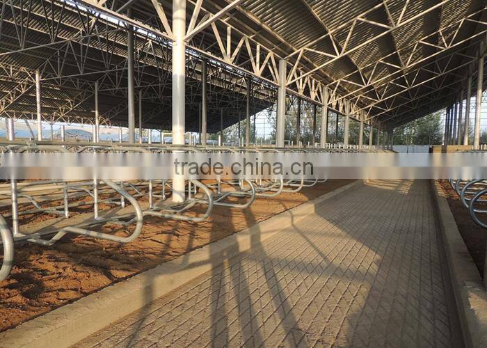 Dairy Cow Farm Equipment Cow Free Stall