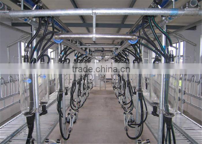 Farm Milking Parlour Plant for Goats and Sheep