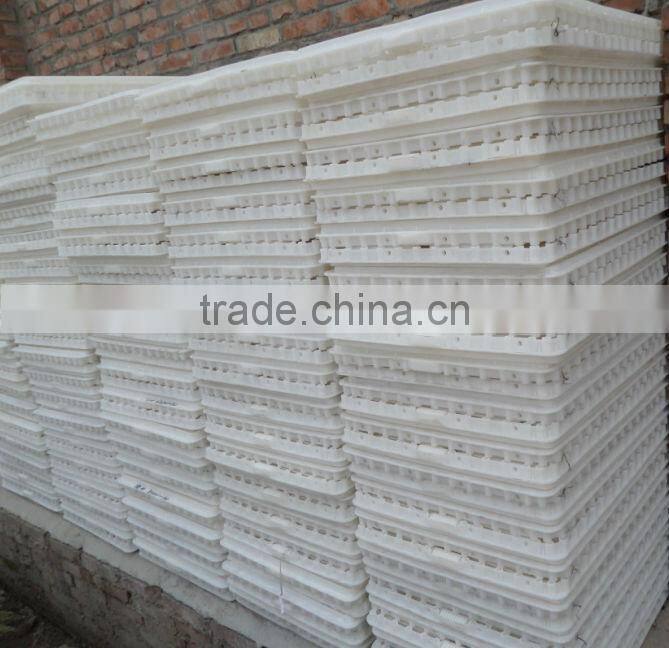 chicken transport box