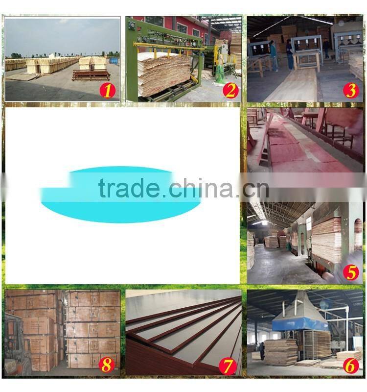 slab formwork shuttering 12mm 18mm