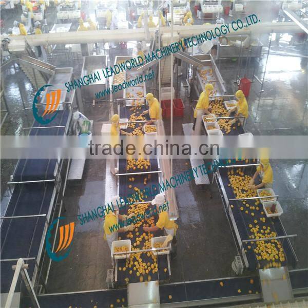 best price crataegus canning machine/ Crataegus production plant