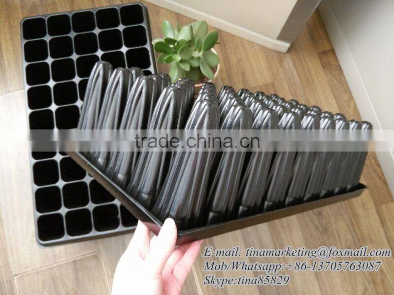 Growing Vegetable Transplants in Plug Seed Nursery Trays 8 Cell