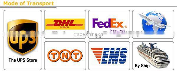 2016 clear plastic snow globe