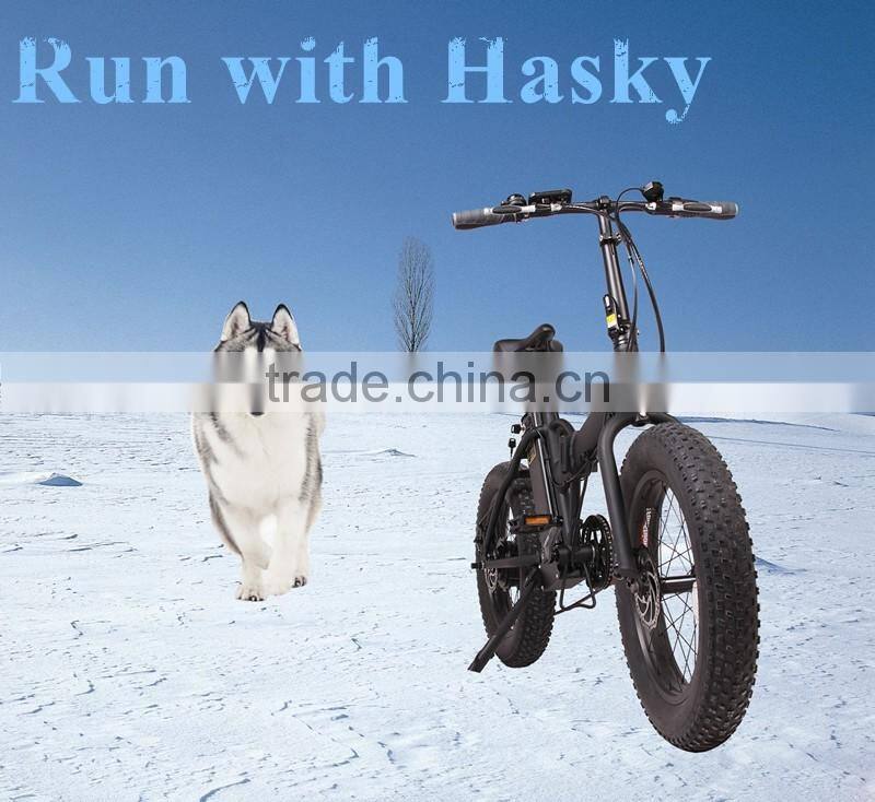 20 inch folding fat tyre electric bike lithium battery motorbike with CE certification electric bicycle