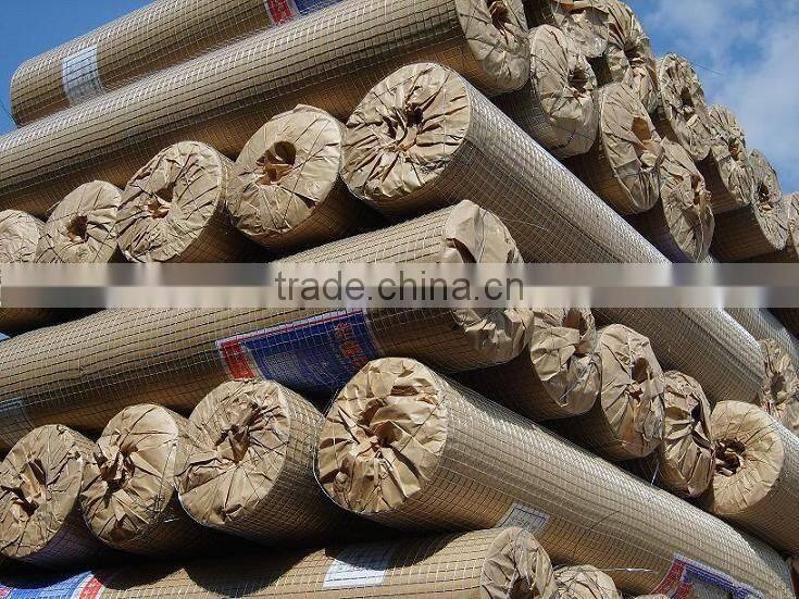 electric galvanized welded wire netting factory price