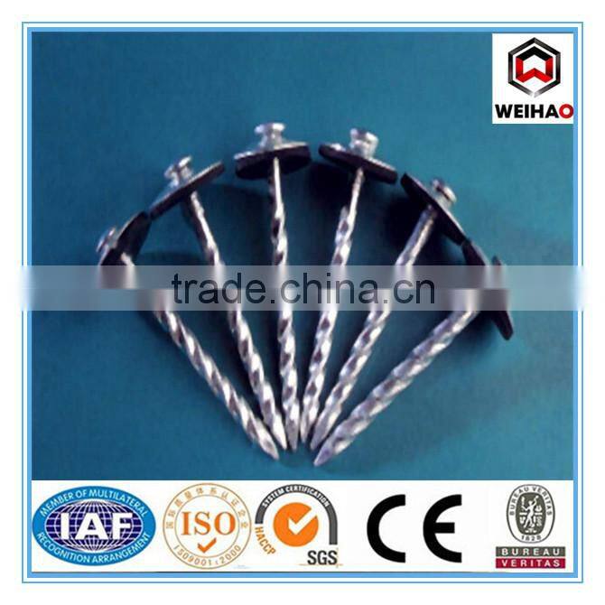 factory price pallet nail