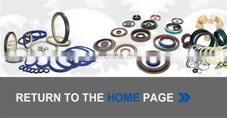 High Pressure Different Sizes N0K Oil Seal Double Lips Motor Crankshaft Hydraulic Pump NBR FKM TC TCV TCN Type Oil Seal