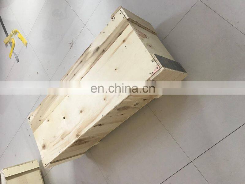 UHMWPE synthetic ice backyard rink