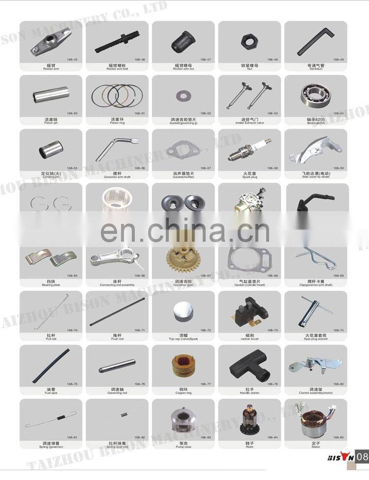 BISON(CHINA) Spare Parts Gasoline Engine 168F 168F-1 Ruixing Carburetor BS160 for Sale