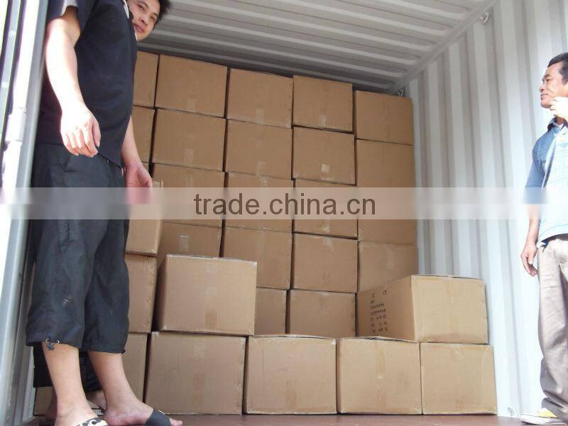 PE Artifical Christmas Pine Branch with white tips