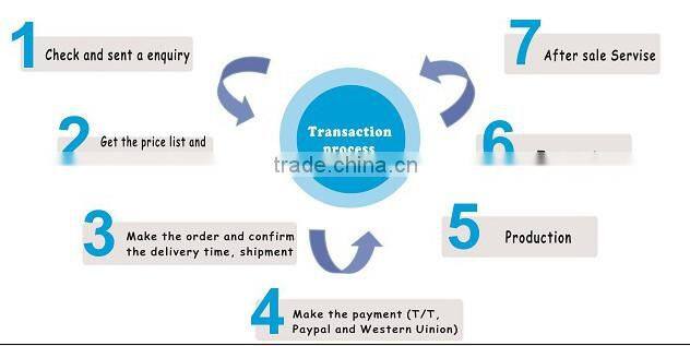 with Germany sealing technique super quality MSD 250W