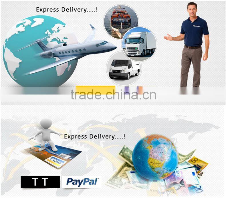 Professional Highest Quality Salon Grade /Personalized Ceramic Plate Hair Straighteners