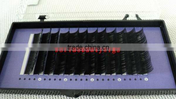 eyelash extensions in korea