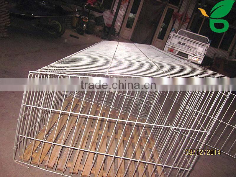 galvanized welded steel wire mesh rabbit cages