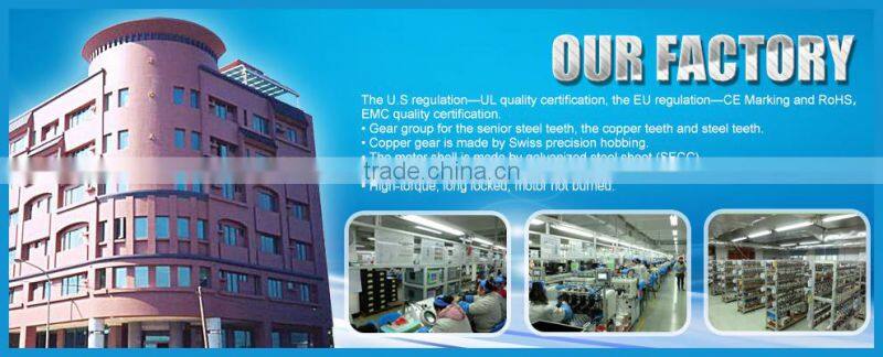 Winding Wires With Splint 220-240V 5-6RPM AC Hysteresis Motor for Washing Machine