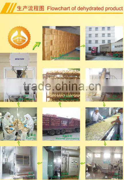 garlic extract powder / allicin