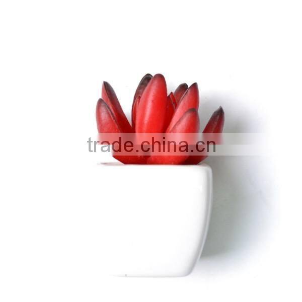 Burgundy Artificial succulent potted in White vase