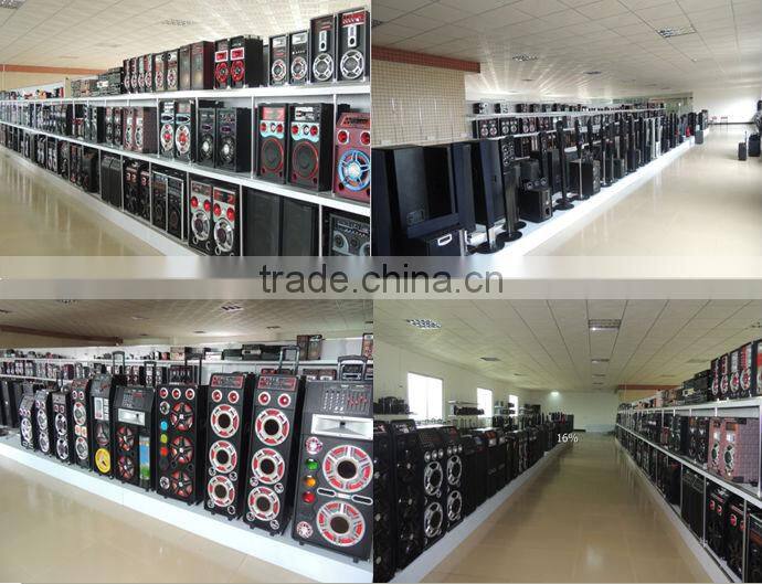 2014 most popular dual 12 inch big power speaker with dvd