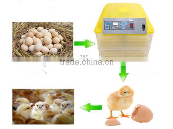 Small little turtle incubator / automatic egg incubator