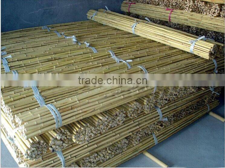 colored bamboo poles