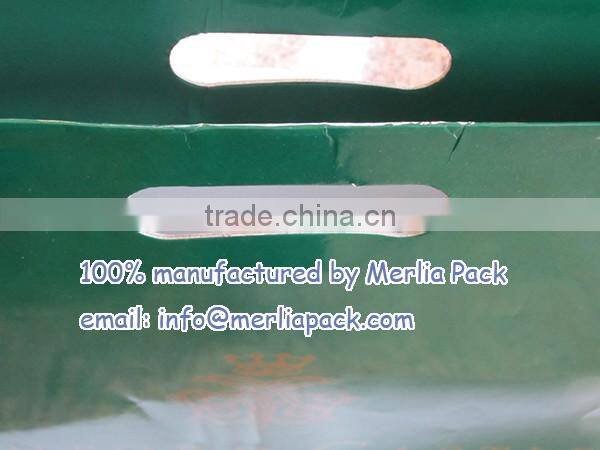 Dark Green Gloss Laminated Heavy Paper Tote Merchandise Bag Soft Cord Handle