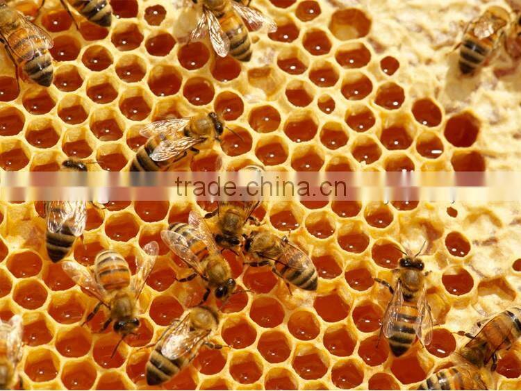 Beehive plastic beehive machine,Beehive Bee hive for Beekeeping