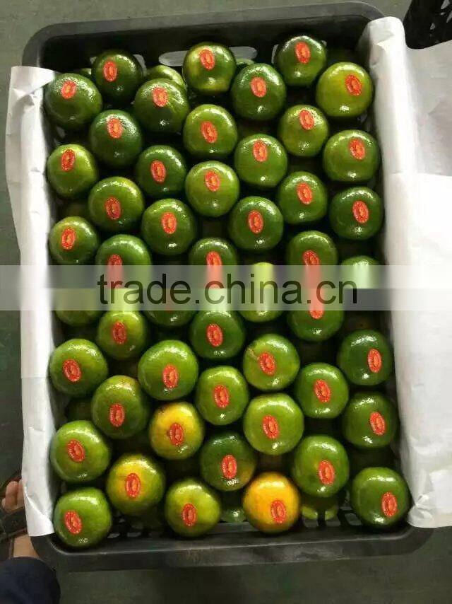 fresh mandarin oranges in 2016 new crop sweet for sale 9kg/box