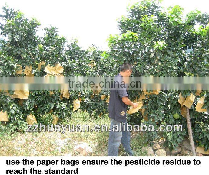 Fresh red pulp honey pomelo