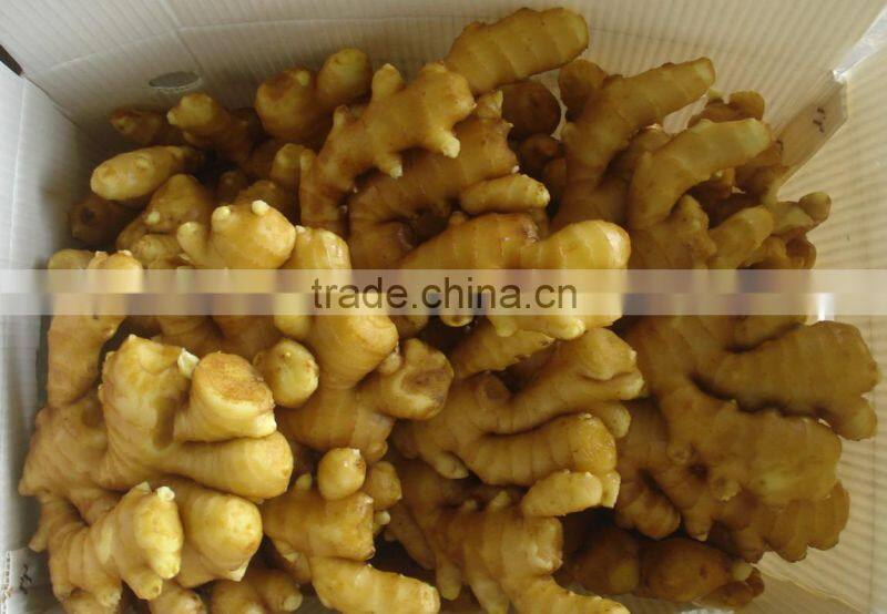 export china fresh ginger whole hot sale