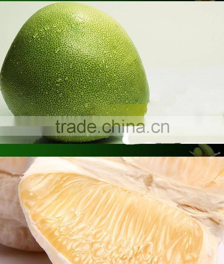 Delicious fruit pomelo